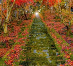 Stairs in Japan